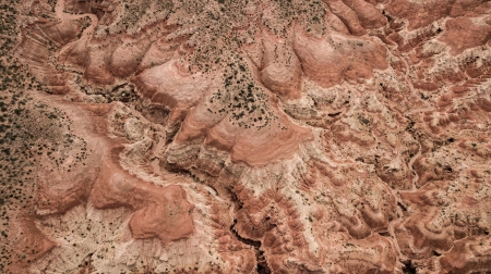 In the Desert