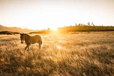 The Day of the so Called Glory